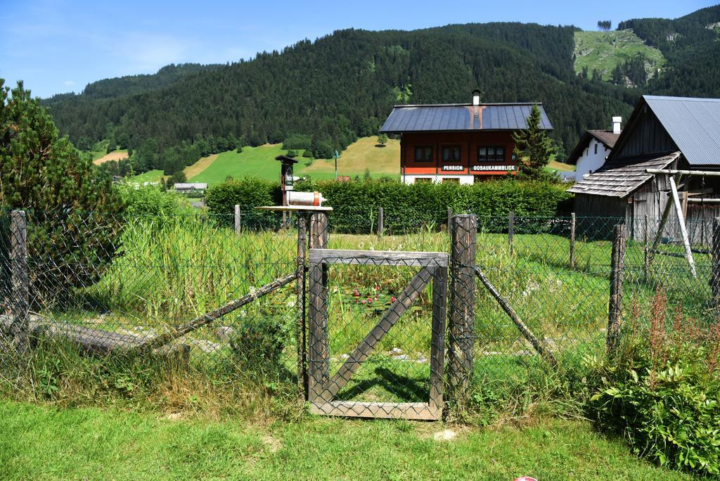 Fruehstueckspension Pachler Gosau Bagian luar foto