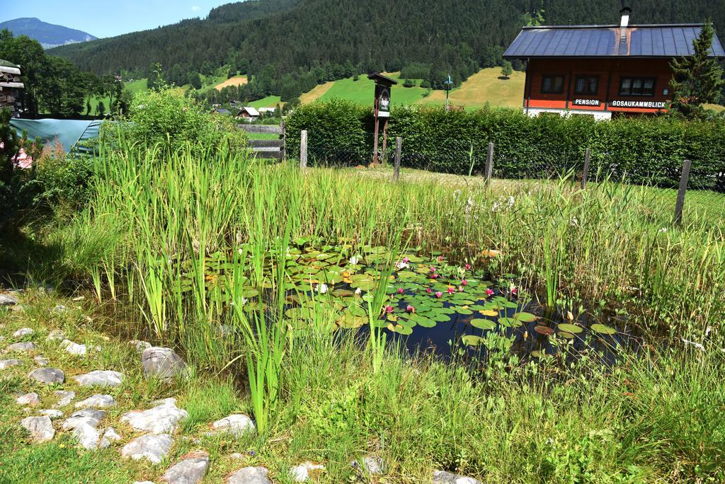 Fruehstueckspension Pachler Gosau Bagian luar foto