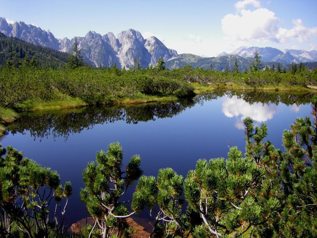 Fruehstueckspension Pachler Gosau Bagian luar foto